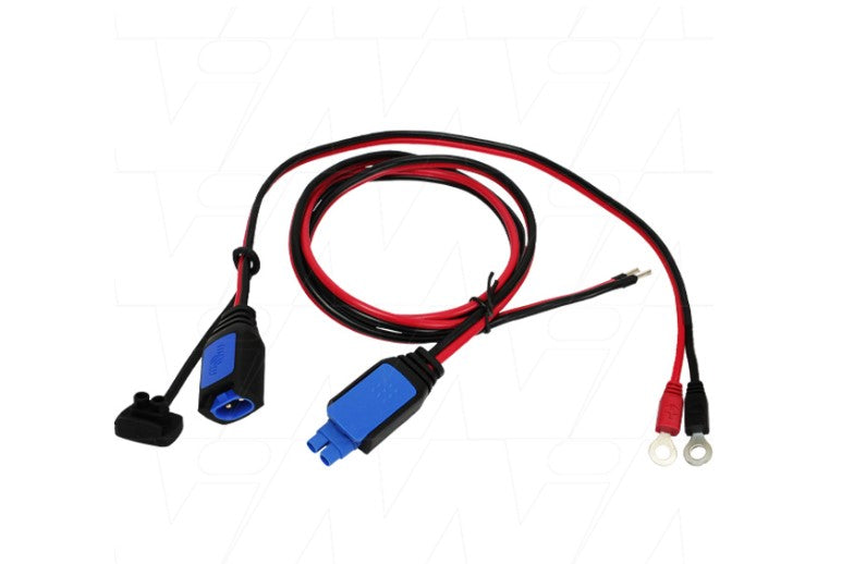 Victron 2.4metre Bootlace to M6 Lead Ring Terminal Lead 30Amp IP22 12/15 Blue Smart Chargers