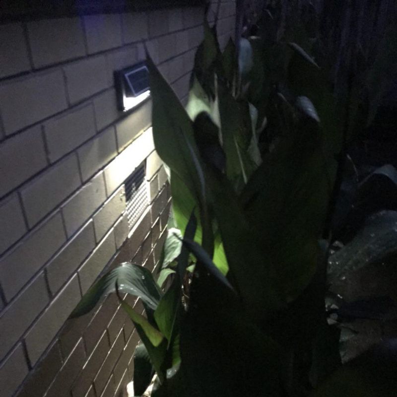 Solar Step Lights